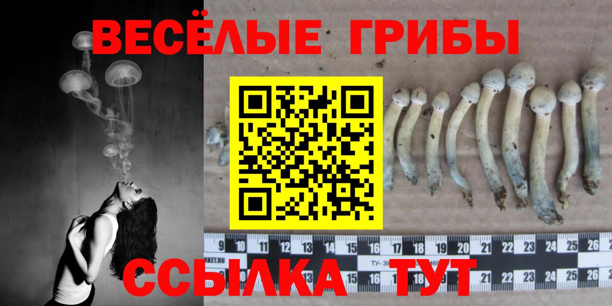 Изобильный  Псилоцибиновые грибы прущие грибы  Вход с VPN  Псилоцибиновые грибы Psilocybine cubensis 